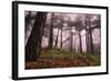 Mountain-Giuseppe Torre-Framed Photographic Print