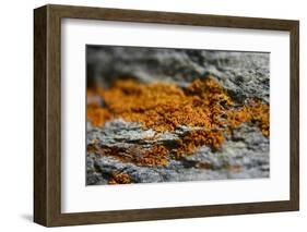 Mountain-K.B. White-Framed Photographic Print