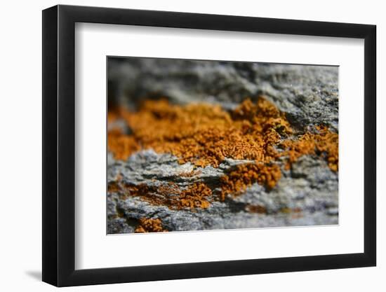 Mountain-K.B. White-Framed Photographic Print