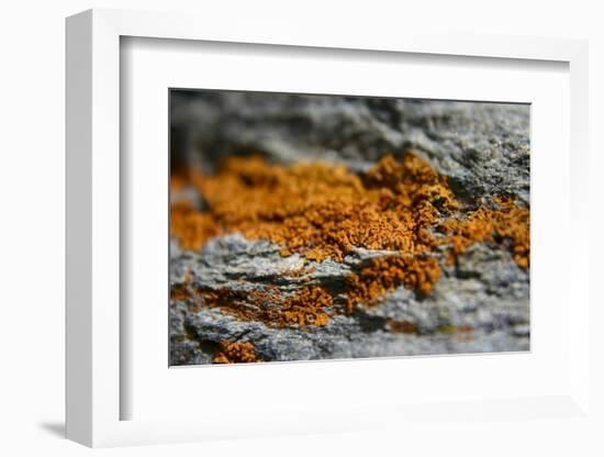 Mountain-K.B. White-Framed Photographic Print