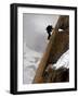 Mountaineer, Climber, Mont Blanc Range, French Alps, France, Europe-Richardson Peter-Framed Photographic Print