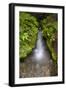 Mountaineer Creek, Okanogan-Wenatchee National Forest, Washington, USA-Roddy Scheer-Framed Photographic Print