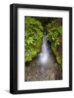 Mountaineer Creek, Okanogan-Wenatchee National Forest, Washington, USA-Roddy Scheer-Framed Photographic Print