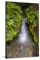 Mountaineer Creek, Okanogan-Wenatchee National Forest, Washington, USA-Roddy Scheer-Stretched Canvas