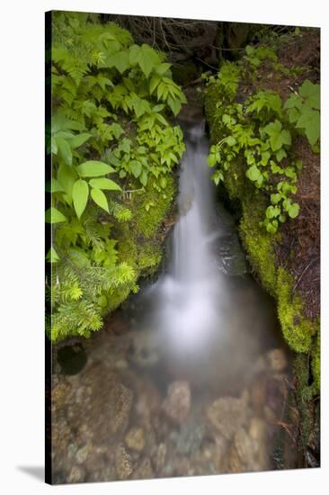 Mountaineer Creek, Okanogan-Wenatchee National Forest, Washington, USA-Roddy Scheer-Stretched Canvas