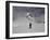 Mountaineering in New Zealand-David D'angelo-Framed Premium Photographic Print