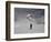 Mountaineering in New Zealand-David D'angelo-Framed Photographic Print