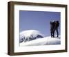 Mountaineering in New Zealand-David D'angelo-Framed Photographic Print