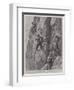 Mountaineering in the Tyrol, a Hazardous Climb on the Dolomites-William T. Maud-Framed Giclee Print