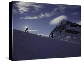 Mountaineering on Mt. Aspiring, New Zealand-David D'angelo-Stretched Canvas