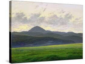 Mountainous Landscape-Caspar David Friedrich-Stretched Canvas