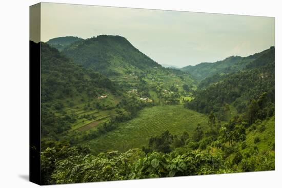 Mountainous Scenery in Southern Uganda, East Africa, Africa-Michael-Stretched Canvas