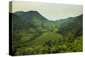 Mountainous Scenery in Southern Uganda, East Africa, Africa-Michael-Stretched Canvas