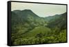 Mountainous Scenery in Southern Uganda, East Africa, Africa-Michael-Framed Stretched Canvas