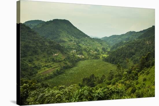 Mountainous Scenery in Southern Uganda, East Africa, Africa-Michael-Stretched Canvas
