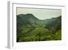 Mountainous Scenery in Southern Uganda, East Africa, Africa-Michael-Framed Photographic Print