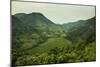 Mountainous Scenery in Southern Uganda, East Africa, Africa-Michael-Mounted Photographic Print