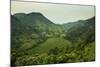 Mountainous Scenery in Southern Uganda, East Africa, Africa-Michael-Mounted Photographic Print