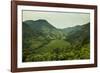 Mountainous Scenery in Southern Uganda, East Africa, Africa-Michael-Framed Photographic Print