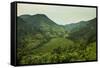 Mountainous Scenery in Southern Uganda, East Africa, Africa-Michael-Framed Stretched Canvas