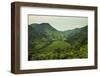 Mountainous Scenery in Southern Uganda, East Africa, Africa-Michael-Framed Photographic Print