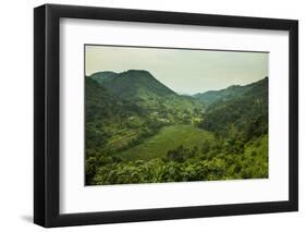 Mountainous Scenery in Southern Uganda, East Africa, Africa-Michael-Framed Photographic Print