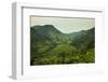 Mountainous Scenery in Southern Uganda, East Africa, Africa-Michael-Framed Photographic Print