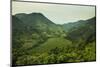 Mountainous Scenery in Southern Uganda, East Africa, Africa-Michael-Mounted Photographic Print