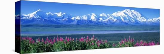 Mountains and Lake Denali National Park Ak USA-null-Stretched Canvas