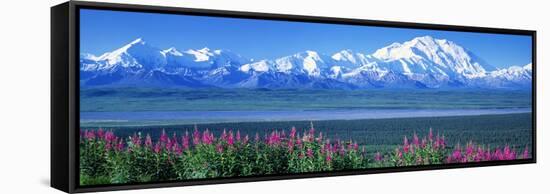 Mountains and Lake Denali National Park Ak USA-null-Framed Stretched Canvas