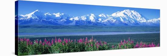 Mountains and Lake Denali National Park Ak USA-null-Stretched Canvas