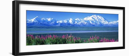 Mountains and Lake Denali National Park Ak USA-null-Framed Premium Photographic Print