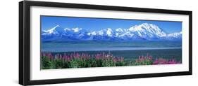 Mountains and Lake Denali National Park Ak USA-null-Framed Premium Photographic Print