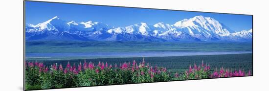 Mountains and Lake Denali National Park Ak USA-null-Mounted Premium Photographic Print