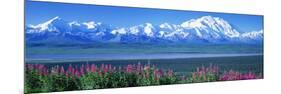 Mountains and Lake Denali National Park Ak USA-null-Mounted Premium Photographic Print