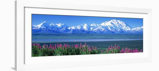 Mountains and Lake Denali National Park Ak USA-null-Framed Photographic Print