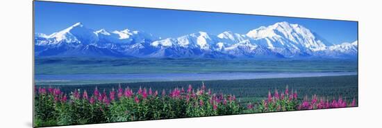 Mountains and Lake Denali National Park Ak USA-null-Mounted Photographic Print