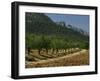 Mountains and Olive Trees, Near Velez Blanco, Almeria, Andalucia, Spain-Michael Busselle-Framed Photographic Print