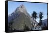 Mountains and Palm Trees Along Fjord-null-Framed Stretched Canvas