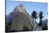 Mountains and Palm Trees Along Fjord-null-Stretched Canvas