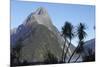 Mountains and Palm Trees Along Fjord-null-Mounted Photographic Print