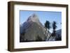 Mountains and Palm Trees Along Fjord-null-Framed Photographic Print