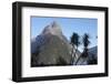 Mountains and Palm Trees Along Fjord-null-Framed Photographic Print