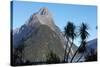 Mountains and Palm Trees along Fjord-Paul Souders-Stretched Canvas