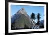 Mountains and Palm Trees along Fjord-Paul Souders-Framed Photographic Print