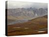 Mountains and Tundra in Fall Color, Denali National Park and Preserve, Alaska, USA-James Hager-Stretched Canvas