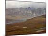 Mountains and Tundra in Fall Color, Denali National Park and Preserve, Alaska, USA-James Hager-Mounted Photographic Print