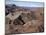 Mountains and Village Near Telouet, High Atlas Mountains, Morocco, North Africa, Africa-David Poole-Mounted Photographic Print