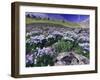Mountains and Wildflowers, Ouray, San Juan Mountains, Rocky Mountains, Colorado, USA-Rolf Nussbaumer-Framed Photographic Print