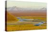 Mountains and Winding River in Tundra Valley-Momatiuk - Eastcott-Stretched Canvas
